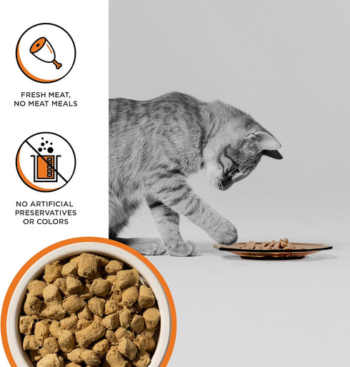 BIXBI Rawbble Freeze Dried Cat Food, Chicken Recipe, 3.5 oz, 95% Meat and Organs, USA Made