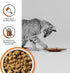 BIXBI Rawbble Freeze Dried Cat Food, Chicken Recipe, 3.5 oz, 95% Meat and Organs, USA Made