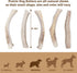 Prairie Dog Antlers, North American Split Antler, Large, Naturally Shed, Nutrient Rich, 6-7.5 inches