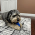 SPOT Bam-Bones PLUS Dental Chew Bone, Bamboo Fiber & Nylon with Massaging Rubber Center for Aggressive Chewers