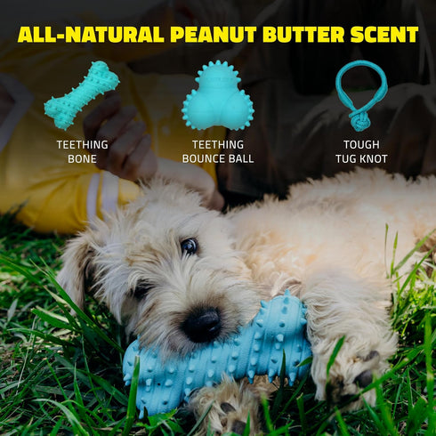 Playology Puppy Teething Bone - Chew Toy with Squeaker for Puppies 4-8 Months (Up to 60lbs)