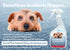 (32 Count, Paw Inspired Male Dog Wraps, Disposable Dog Diapers | Belly Bands for Small, Medium, Large Dogs Size Medium)