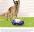 Cosirttx 4 Outdoor Dog Water Play Sprinkler,Step On Dog Water System,Safe Self Watering Doggie Drinking Fountains