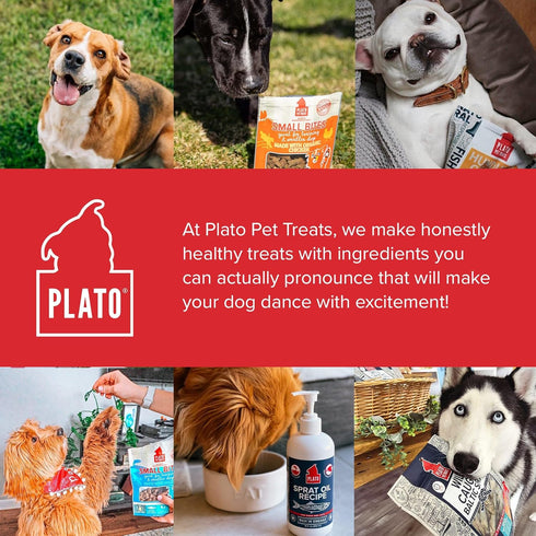 PLATO Small Bites Dog Treats - Natural Real Meat & Chicken Flavor, Grain Free, 2.5 Ounces