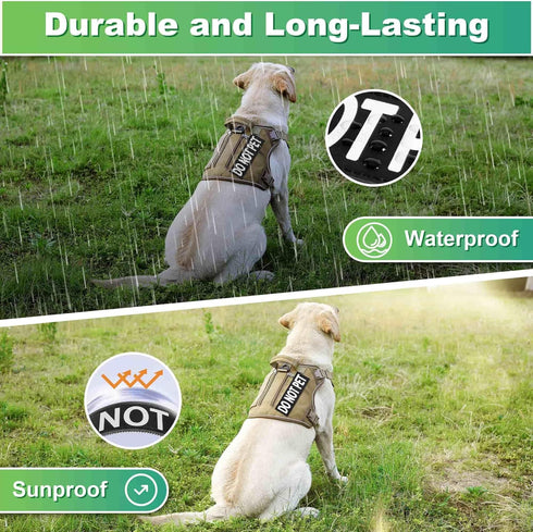 6-Pack Emotional Support Patches: Removable Do Not Pet Patches for Harness Vest or Collar