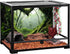 AWERT 72x24 inches Polyester Tropical Rainforest Background, Stream Green Huge Tree Reptile Habitat Decor