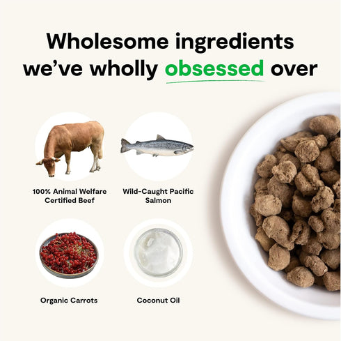 Open Farm Freeze Dried Raw Dog Food, Surf & Turf Recipe, Humanely Raised Meat with Non-GMO Superfoods (3.5 Ounce)