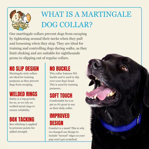 Country Brook Petz Martingale Dog Collar - Royal Blue, 3/4 Inch, Small - Heavy-Duty Training Collar