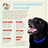 Country Brook Petz Martingale Dog Collar - Heavy-Duty Training Collar, Royal Blue, 1 Inch, Large