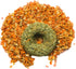 Grandpa's Best Whisker Nibblers Pumpkin Carrot Treats for Small Animals, Rabbits, and Guinea Pigs