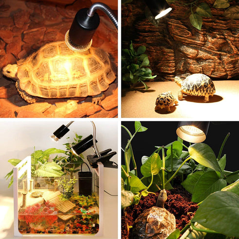 OMAYKEY 3 Pack 50W UVA + UVB Full Spectrum Sun Lamp - Heat Lamp for Lizard Reptiles & Amphibians