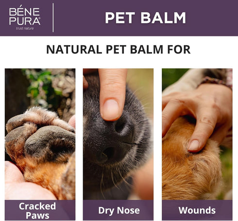 BenePura Dog Paw Balm 1.35 Fl. Oz, Natural Lick Safe Unscented Balm for Dogs and Cats