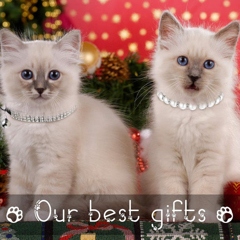 3 Pieces Rhinestones Dog Collar Set, Adjustable Artificial Pearl Dog Collar, White Bling Diamante Cat Necklace with Bell