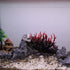 VOCOSTE Coral Reef Decor, Mini Faux Coral Decor for Aquarium Decorations, Black Red,6.5"x5.83" by VOCOSTE