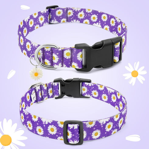 BiPawTi Floral Dog Collars for Large Dogs, Soft Cute Collar with Daisies Charms, Gift for Female Male Dogs (L, Purple)