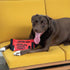 Outward Hound FireHose Fetch Dog Toy, Large Size for Interactive Play