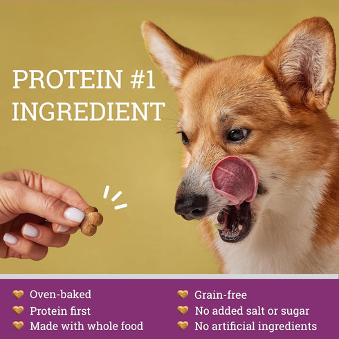 Doghouse Rock Dog Treats, 11 oz by GivePet - Premium Grain-Free Training Treats, Bacon, Peanut Butter, Banana