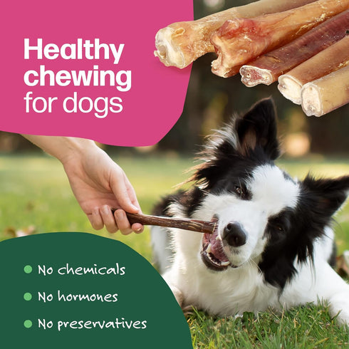 Willow&I Bully Sticks for Dogs - 6 Inch Bully Sticks for Medium & Small Dogs (14 Pack), Premium 100% Grass Fed Beef