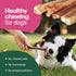 Willow&I Bully Sticks for Dogs - 6 Inch Bully Sticks for Medium & Small Dogs (14 Pack), Premium 100% Grass Fed Beef