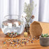 Decorative Polished Rocks, 0.3" Gravel for Plant Pots, Succulents, and Aquarium Fish Tank Decorations (1.5 LB)