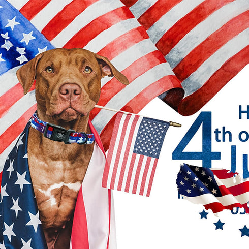 Independence Day Dog Collar by Elegant little tail, Adjustable Patriotic Holiday Collar for Small Medium Large Dogs