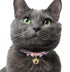 Necoichi Chirimen Hanabi Fireworks Cat Collar (Purple) with Bell, Safety Breakaway for Cats