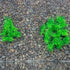 Smoothedo-Pets 20 Pieces Small Plastic Aquarium Plant Decoration, 1" Tall Mini Grass Set for Fish Tank (Green-C)