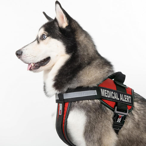 Dogline Vest Harness for Dogs with 2 Removable Medical Alert Patches, Large (28 to 38", Red)