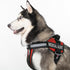 Dogline Vest Harness for Dogs with 2 Removable Medical Alert Patches, Large (28 to 38", Red)
