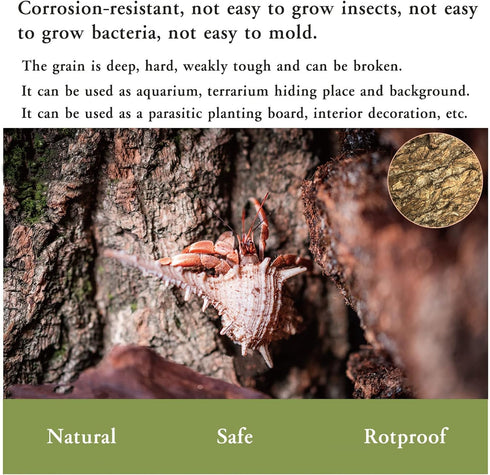 Tfwadmx 2Pcs Cork Terrarium Background, 11.8” x 11.8” Natural Cork Bark Backdrop for Reptile Accessories