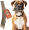 Heartland Elk Antlers for Dogs, Daily Dental Care Chews for Aggressive Chewers, 7" Large, 1-Pack