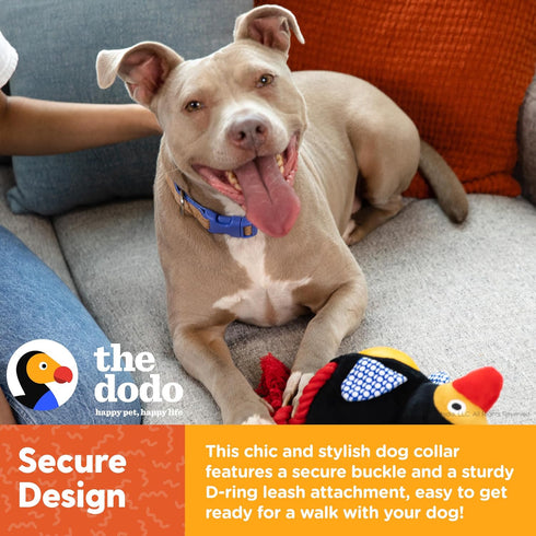 The Dodo Cork Dog Collar, Medium Size, Adjustable Snap Together, Pinch Release Buckle, Stripe Design