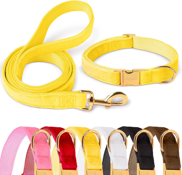 GAMUDA Velvet Dog Collar and Leash, Super Soft Heavy Duty with Gold Buckle, Adjustable Collar for Dog (XS, Yellow)
