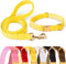 GAMUDA Velvet Dog Collar and Leash, Super Soft Heavy Duty with Gold Buckle, Adjustable Collar for Dog (XS, Yellow)