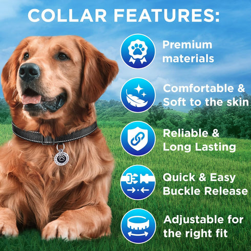 TECEUM Reflective Pet Collar – Basic Nylon Dog Collar – Quick Release Buckle – Black – L – Fits Small, Medium and Large