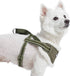 Blueberry Pet Adjustable No Pull Training Dog Harness, Olive Green, Small, Chest Girth 16.5" - 21", Multi-Colored