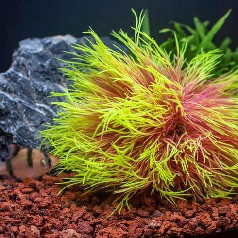 Fish Tank Decorations, Plastic Artificial Aquarium Plants Décor (Pink Yellow)