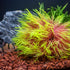 Fish Tank Decorations, Plastic Artificial Aquarium Plants Décor (Pink Yellow)