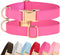 PET ARTIST Soft Leather Dog Collar for Large Dogs, Heavy Duty Nylon Padded Collar with Quick Release Metal Buckle, Neck