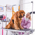 Dog Grooming Belly Strap - Table Arm Extender with Clamp for Bathing Restraint Leash (Small & Medium Dogs, Orange)