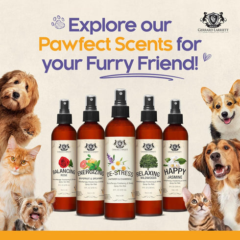 Dog Perfume Spray, Long Lasting Chamomile & Lavender, 8 Fl Oz, Calming Deodorizer for Dogs
