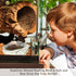 SunGrow Small Hermit Crab Feeding Bowl, Durable Multifunctional Decor for Turtle, Gecko, Ball Python