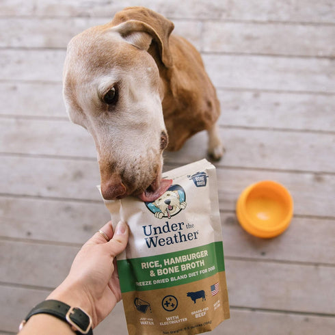 Under the Weather Easy to Digest Bland Diet for Sick Dogs - Gluten Free, All Natural, Freeze Dried 100% Human Grade