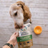 Under the Weather Easy to Digest Bland Diet for Sick Dogs - Gluten Free, All Natural, Freeze Dried 100% Human Grade