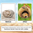 SunGrow Hermit Crab Coco Hut with Ladder, Coconut Hide for Reptiles, Crab Cage Climbing Toys, 5"
