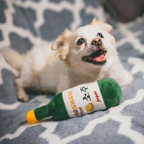 Sochew Soju Pet Toy with Squeaker - Mango Interactive Toy for Dogs