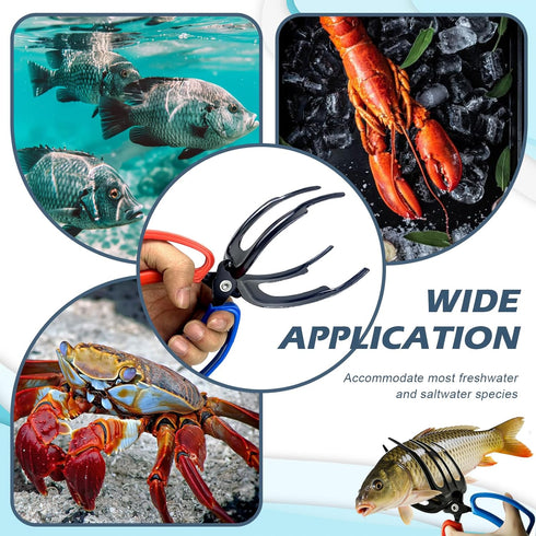 Shgxjjnb 4 Packs 2/3 Claw Fish Gripper, Fish Grabber, Metal Fishing Pliers, Fish Grip Tackle Holder, Multifunctional