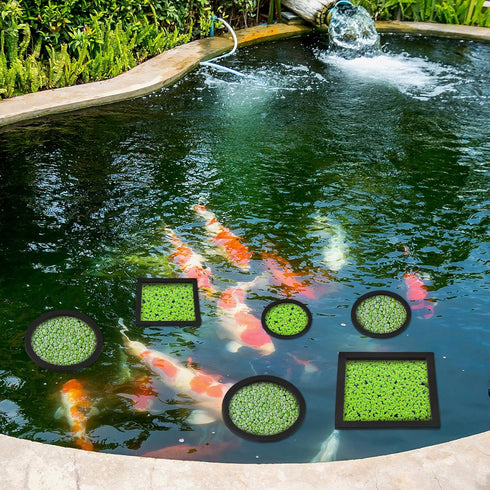 20 Pcs Aquarium Floating Plant Rings, Round Square Foam Circles for Fish Feeding, 5 Sizes (Black)