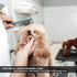 Metal Dog Grooming Comb for Shedding Tangles - Long Wide Tooth Pet Comb for Poodles and Goldendoodles Dematting (7.5
