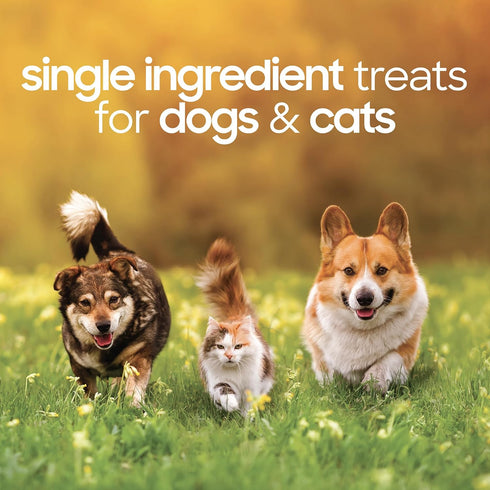 smallbatch Pets Premium Freeze-Dried Beef Heart Treats for Dogs and Cats, 3.5 oz, Made in The USA